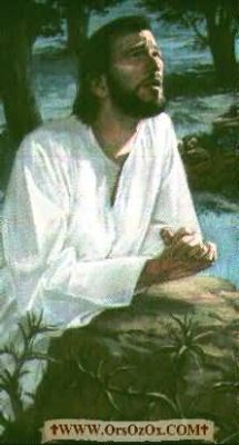Jesus-Crucified_(160).jpg