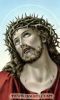 اسم الصورة=Jesus-Crucified_(104).JPG
حجم الملف=10كيلوبايت
الأبعاد=216x357
تاريخ الإضافة=%796 %11, %2008 Jesus-Crucified_(104).JPG