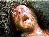 اسم الصورة=Jesus-Crucified_(138).JPG
حجم الملف=13كيلوبايت
الأبعاد=320x240
تاريخ الإضافة=%796 %11, %2008 Jesus-Crucified_(138).JPG