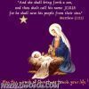 al_melad_(117).jpg