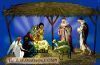Jesus-Growing2_(143).jpg