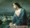 اسم الصورة=Jesus-Life_(15).JPG
حجم الملف=10كيلوبايت
الأبعاد=282x273
تاريخ الإضافة=%023 %11, %2008 Jesus-Life_(15).JPG