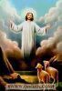 اسم الصورة=Jesus-Life_(24).JPG
حجم الملف=9كيلوبايت
الأبعاد=196x288
تاريخ الإضافة=%023 %11, %2008 Jesus-Life_(24).JPG