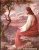اسم الصورة=Jesus-Life_(27).JPG
حجم الملف=29كيلوبايت
الأبعاد=450x575
تاريخ الإضافة=%023 %11, %2008 Jesus-Life_(27).JPG