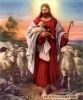 اسم الصورة=Jesus-Life_(48).JPG
حجم الملف=21كيلوبايت
الأبعاد=374x446
تاريخ الإضافة=%023 %11, %2008 Jesus-Life_(48).JPG