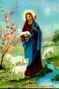 اسم الصورة=Jesus-Life_(65).JPG
حجم الملف=26كيلوبايت
الأبعاد=324x478
تاريخ الإضافة=%023 %11, %2008 Jesus-Life_(65).JPG