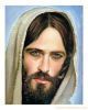 اسم الصورة=Cristo-Giclee-Print-C12142017.jpg
حجم الملف=64كيلوبايت
الأبعاد=360x450
تاريخ الإضافة=%557 %26, %2008 Cristo-Giclee-Print-C12142017.jpg