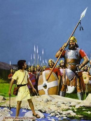David_(7).jpg