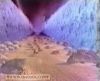 اسم الصورة=MosesJoshua_(16).jpg
حجم الملف=8كيلوبايت
الأبعاد=352x288
تاريخ الإضافة=%501 %12, %2008 MosesJoshua_(16).jpg