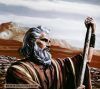 اسم الصورة=MosesJoshua_(30).jpg
حجم الملف=22كيلوبايت
الأبعاد=458x408
تاريخ الإضافة=%501 %12, %2008 MosesJoshua_(30).jpg