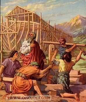 Noah3_(7).jpg