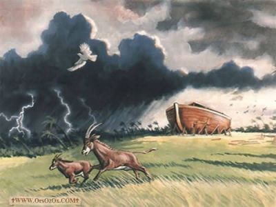 Noah3_(16).jpg