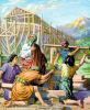 Noah3_(22).jpg