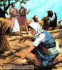 اسم الصورة=Ruth-04.jpg
حجم الملف=61كيلوبايت
الأبعاد=322x358
تاريخ الإضافة=%758 %24, %2008 Ruth-04.jpg