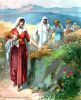 اسم الصورة=Ruth-08.jpg
حجم الملف=125كيلوبايت
الأبعاد=488x600
تاريخ الإضافة=%758 %24, %2008 Ruth-08.jpg