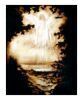 اسم الصورة=Angel-over-Troubled-Waters-Giclee-Print-C12035019.jpg
حجم الملف=38كيلوبايت
الأبعاد=375x450
تاريخ الإضافة=%981 %02, %2008 Angel-over-Troubled-Waters-Giclee-Print-C12035019.jpg