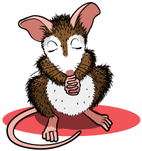 sy_mouse3-1731.png
