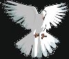 اسم الصورة=dove_hover_sm.gif
حجم الملف=8كيلوبايت
الأبعاد=200x173
تاريخ الإضافة=%489 %30, %2008 dove_hover_sm.gif