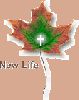 اسم الصورة=leaf_01_sm.gif
حجم الملف=6كيلوبايت
الأبعاد=111x139
تاريخ الإضافة=%489 %30, %2008 leaf_01_sm.gif