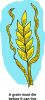 rg_clipart_0009-1876.png