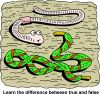 rg_clipart_0025-1893.png