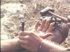 اسم الصورة=NAIL.JPG
حجم الملف=25كيلوبايت
الأبعاد=640x480
تاريخ الإضافة=%646 %08, %2008 NAIL.JPG