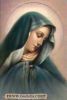 اسم الصورة=54.JPG
حجم الملف=7كيلوبايت
الأبعاد=252x374
تاريخ الإضافة=%146 %03, %2008 54.JPG